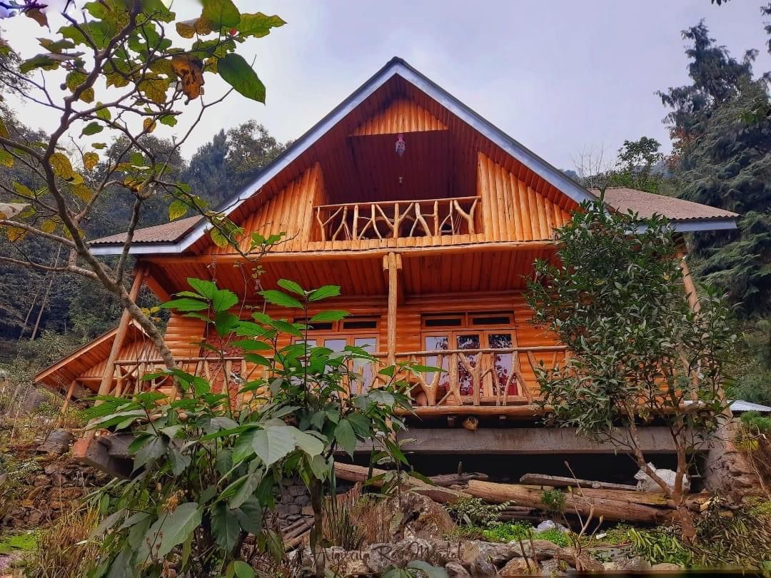 Golden Pine Homestay