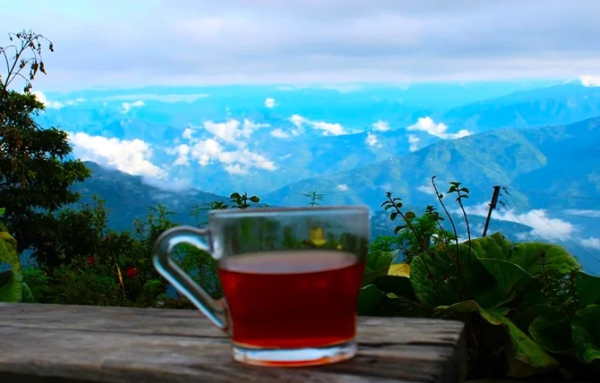 Kharka Gaon: A Hidden Himalayan Heaven in Kalimpong