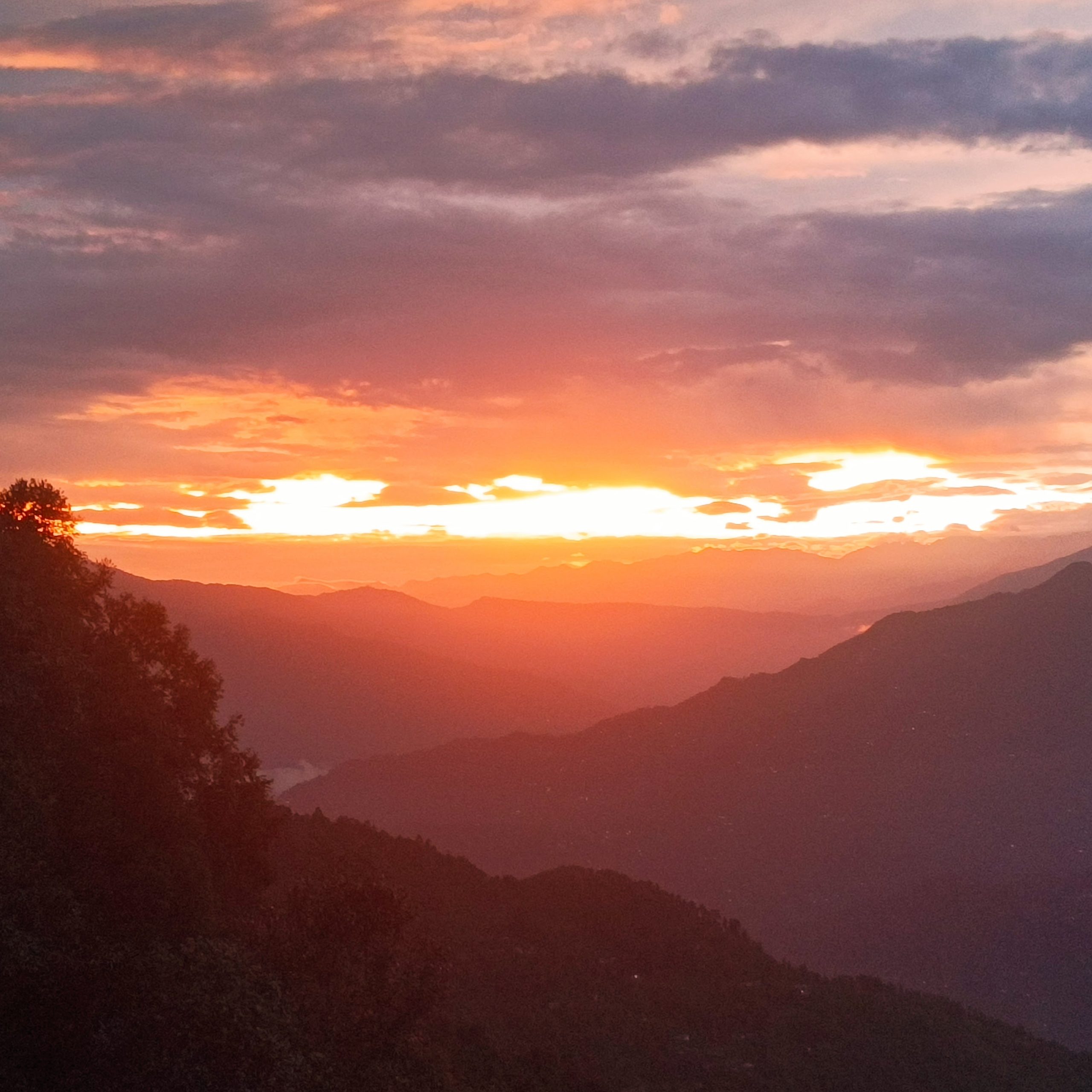 Milan Top View Homestay