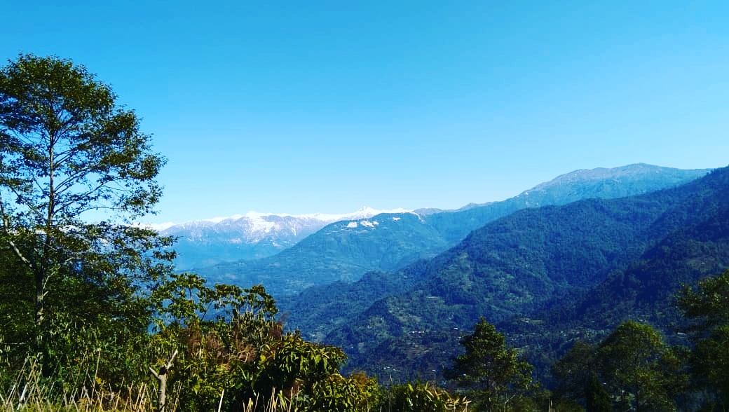 Pinecone Retreat Homestay