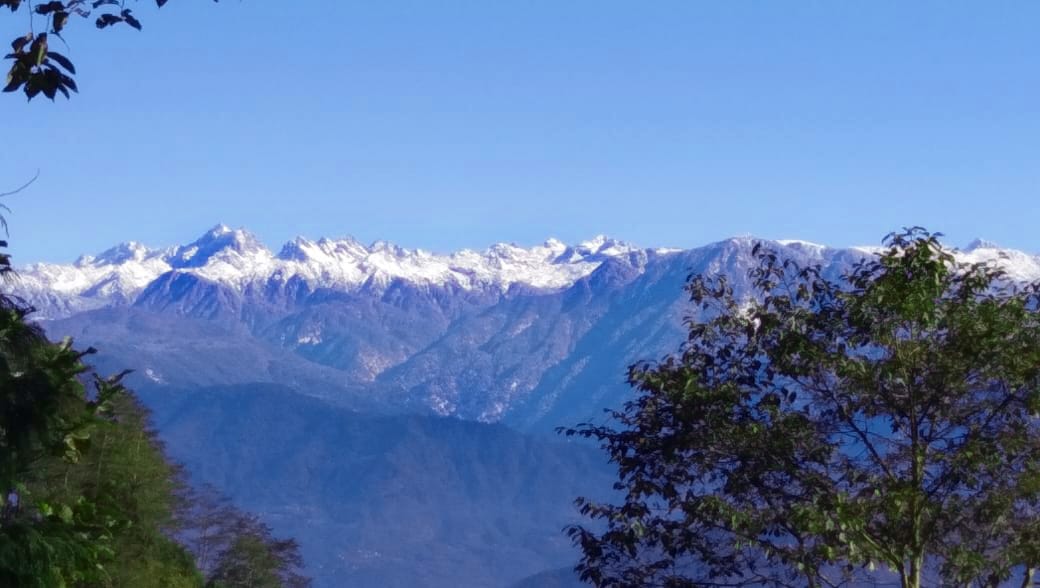 Pinecone Retreat Homestay